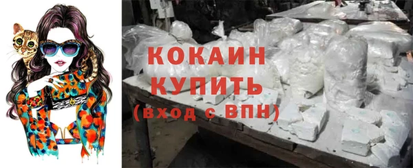 гидропоника Новозыбков