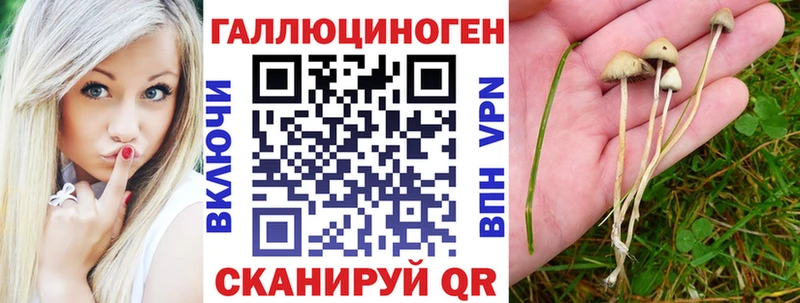 Псилоцибиновые грибы Psilocybe  Большой Камень 